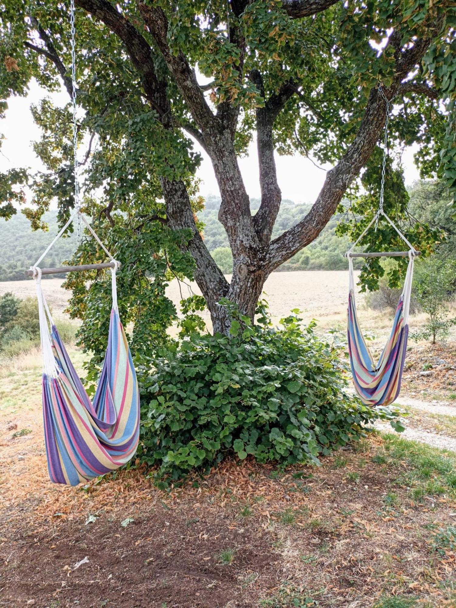 Gite Avec Piscine "La Maison De Valentine" En Provence Montsalier Kültér fotó